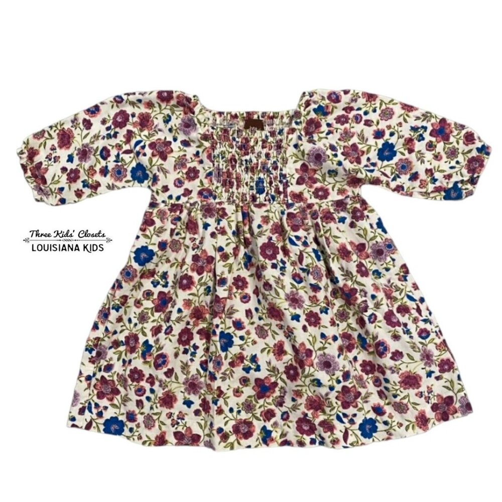 Tea Collection 6-12m Floral Smocked Dress